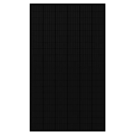 QCells Q.PEAK DUO BLK ML-G10+